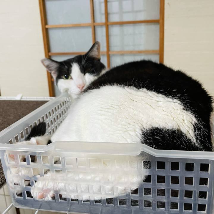 936ca20c 6b4e 47a3 9aab c6a411f08173 1627866836062