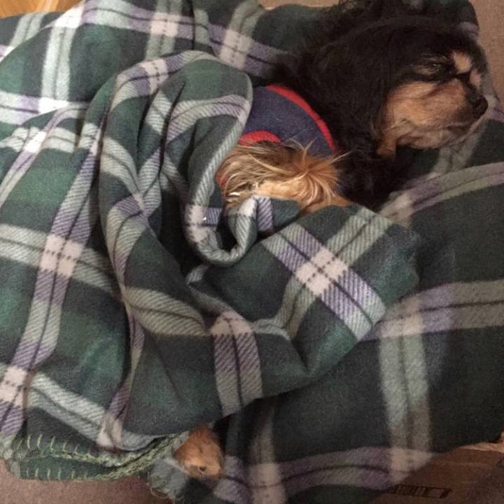 936ca5ad 79b7 4f22 9c1d ff17c5f9d52c 1609759907015