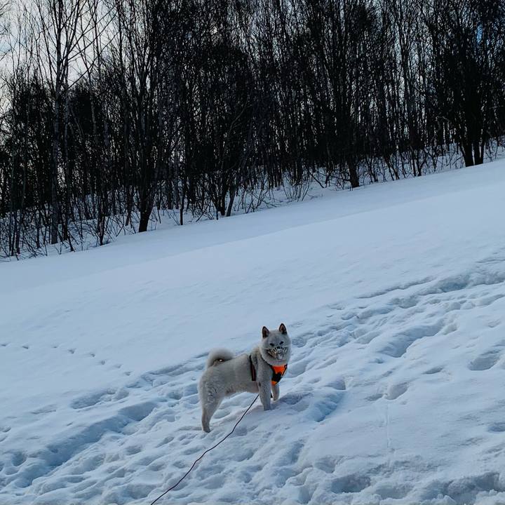 936ca746 530f 43b2 aa51 7ee40daebeda 1616116297908