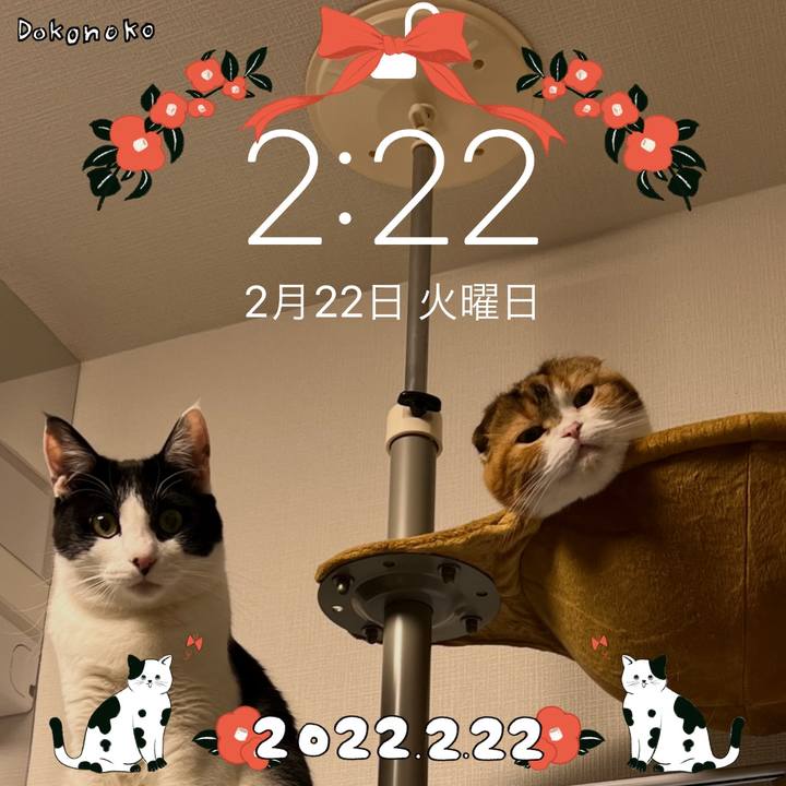 936cd392 e0f9 40c2 acc3 198ff45c0f7a 1645507471030