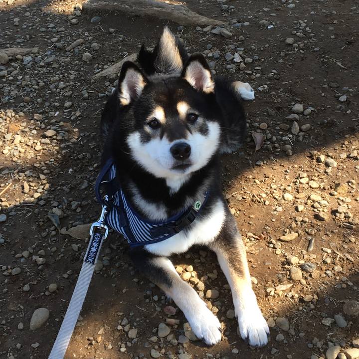 936d57cd 5337 4b34 bb88 20d652051cd4 1584579061064