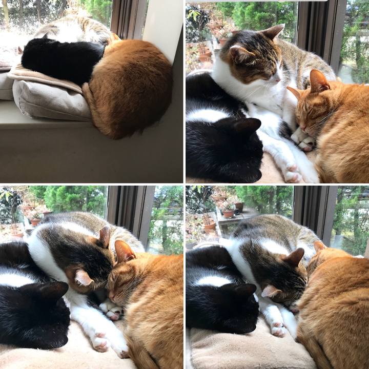 936d5893 421a 4663 8585 d73feb7c0c97 1516166046852