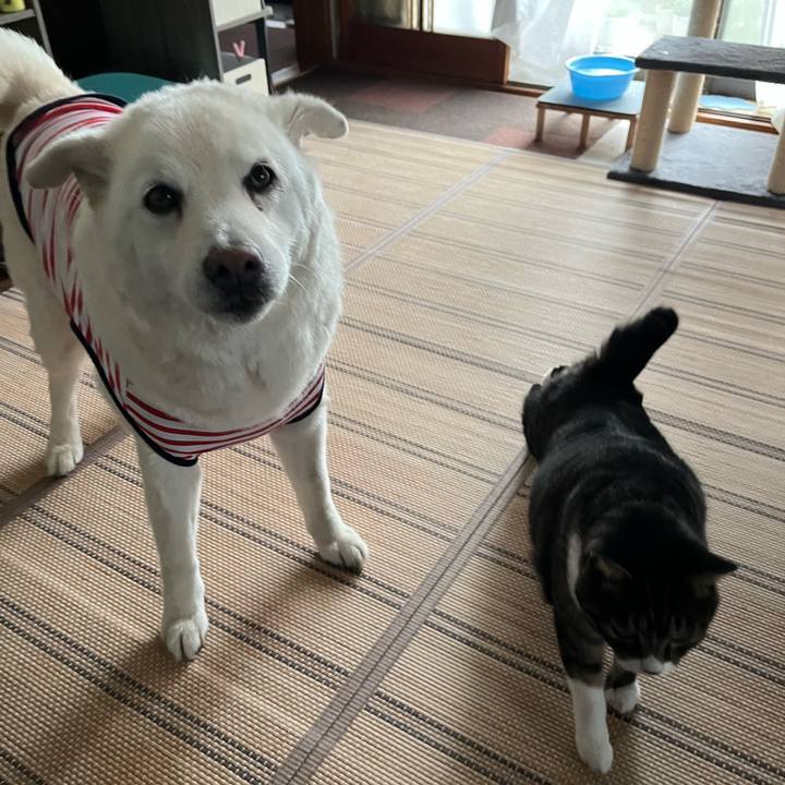 936d8db9 02d7 47bb badf 0257ea2d61ba 1759185877299