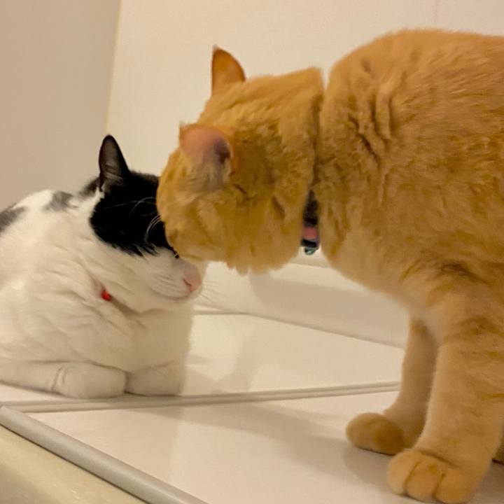 936d91c2 21bf 468e 9920 c833c0db6511 1673153680681