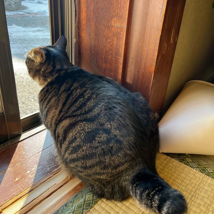 936dc49a 3956 42ce 9a50 9303439d612a 1766968205286