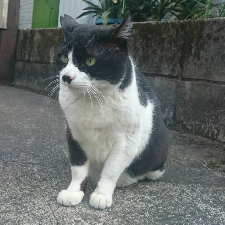 936dc6a3 807b 4970 971a 0e53db2f2559 1522480918960