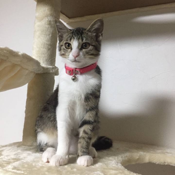 936dc83e 8483 4ead 8f4b 88bb1f0b8329 1658803173402