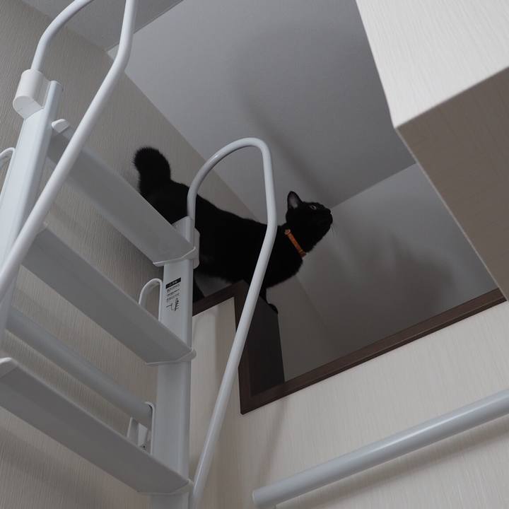 936de67d bac7 443a 8089 e2b48dddfaf9 1540855668074