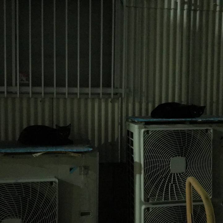 936e0851 6478 45f0 a9b4 66006d5cc8be 1538840318928