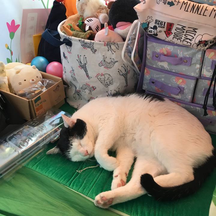 936e3cf5 e1e0 423d 915d 2957fb1c492c 1560906648408