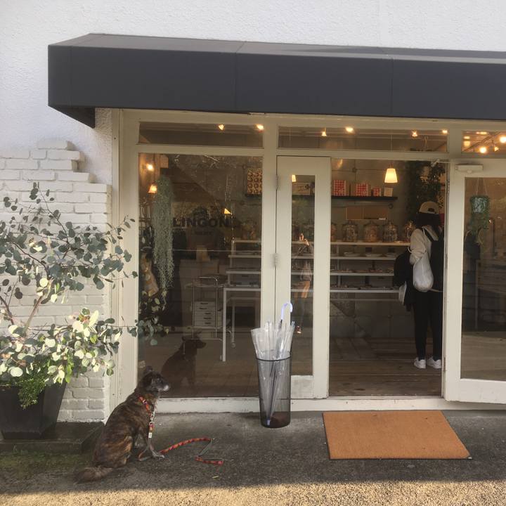 936e5783 b1db 46dc 96fa 809683f2c3fa 1550796510792