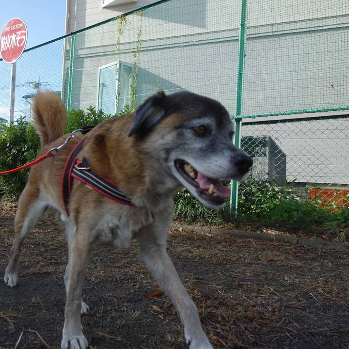 936ea77c 75cb 4b81 85d2 e7fd7ff10743 1573690852071