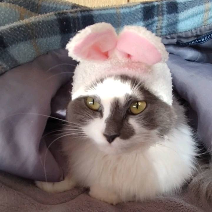 936ea872 6e9d 4fed a3cb 445aa21d68d7 1673155231559