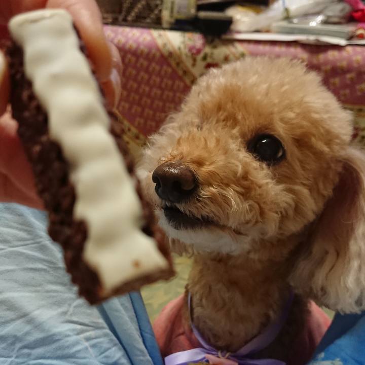 936ed2fc 0467 44b6 99f3 23b6c1103acf 1568901184098