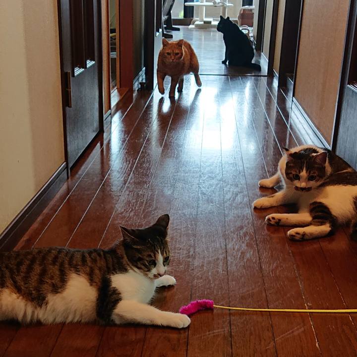 936ef543 26e4 44f6 913f 00aa8b8ed6bc 1563838733424