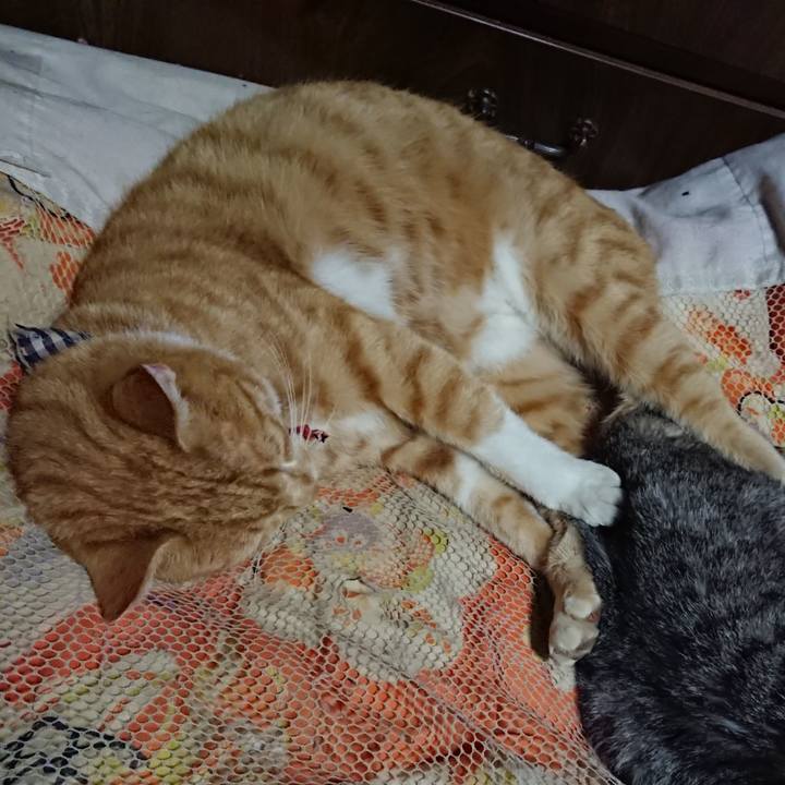 936f4acf ed12 42c5 831c 9e910250cae2 1572787936696