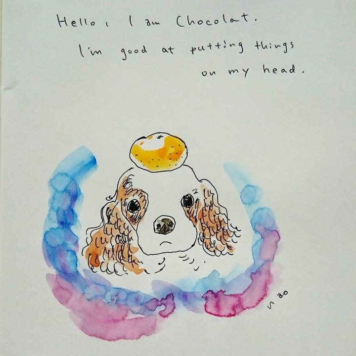 936f8c20 1c2b 47fc 949c 4dcdf0bf0071 1563869690065