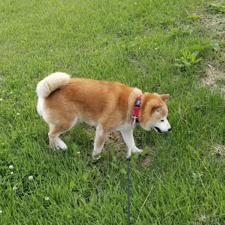 936fc383 77e3 4d16 82e3 6e9097433230 1717399597132