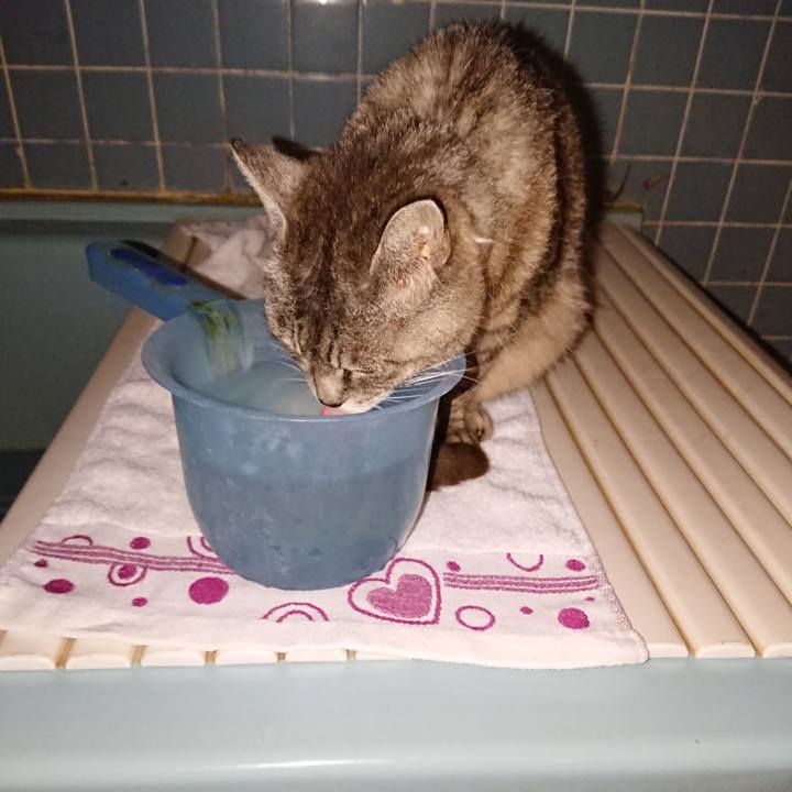 93703573 a61d 4820 9228 054ef0ca7eff 1569665750407