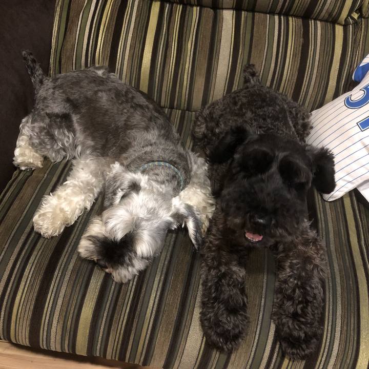 93703653 a99c 4ba3 8533 96cf1ecd9cca 1566138555518