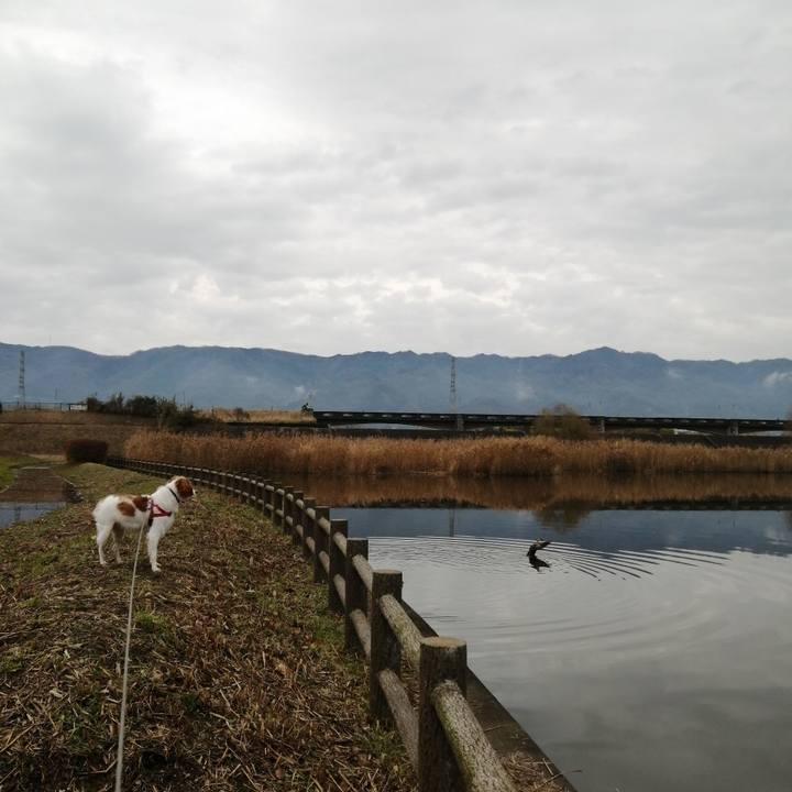 937049c1 5138 4707 9128 c75ce4ceafe7 1577707245741