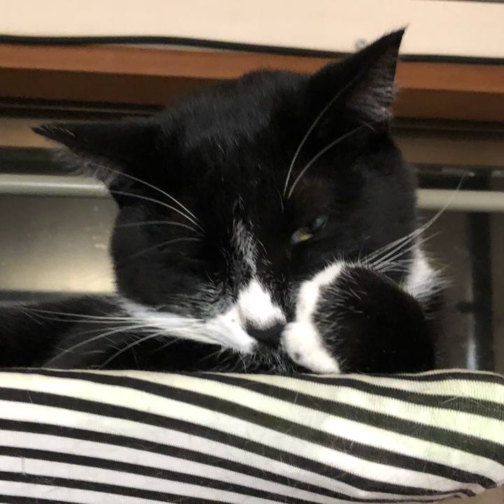 937052bc 5bc9 4db1 93b3 1da8aad043a5 1541223410551