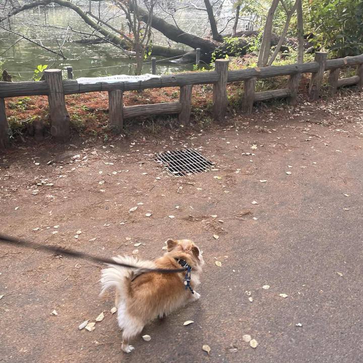 937067bd 7a5c 4a75 98d7 9fbe90cdd5ed 1764325262447