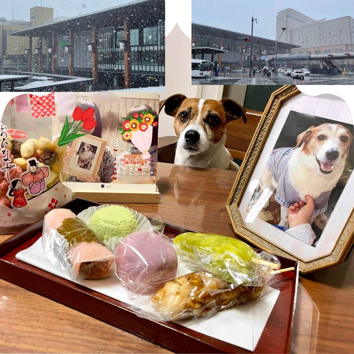 93707734 70d8 412c 9221 789252b37e69 1741000775834