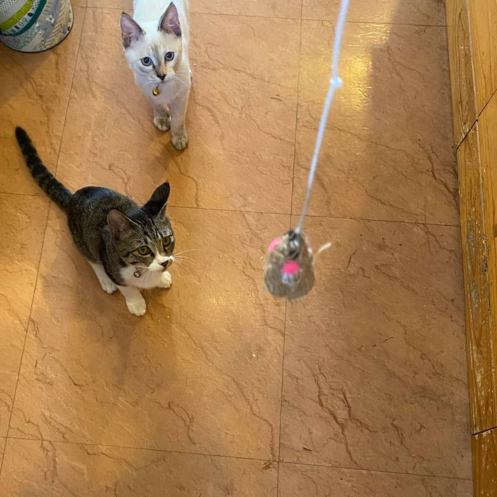 93707eb6 dc9c 4d84 b4a9 24ccbf742667 1631191440618