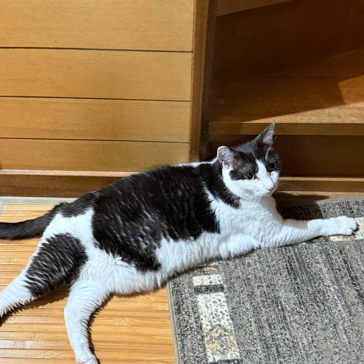 9370ae12 3dd7 4804 a8f4 9d1414adafaf 1752977959374