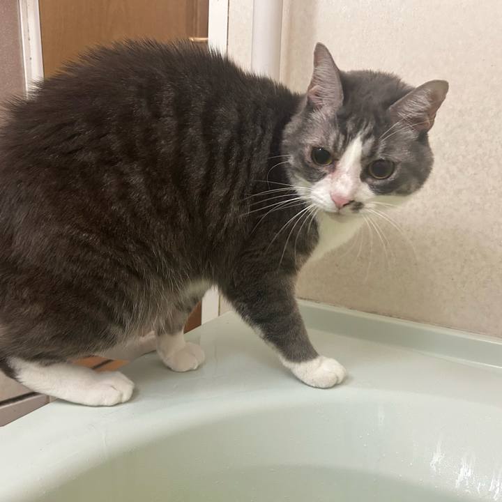 93710128 891c 47bb bc3c 9b06a02f3453 1762004991628