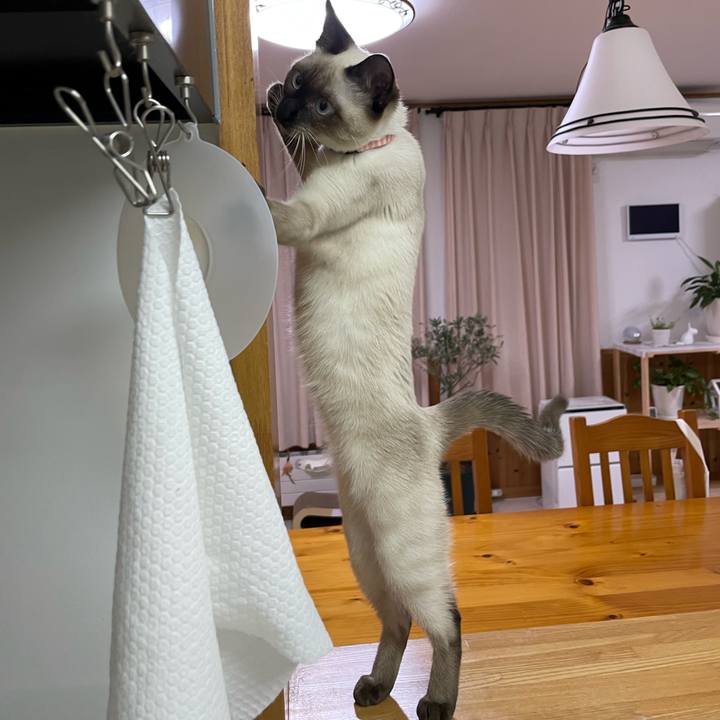 937109c4 2bb5 429c b895 d14db8d5e145 1699298299067