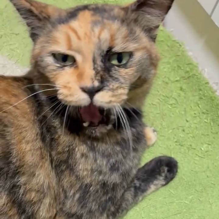 93710c12 ef41 4383 ad79 b29ba13c9790 1753824600019