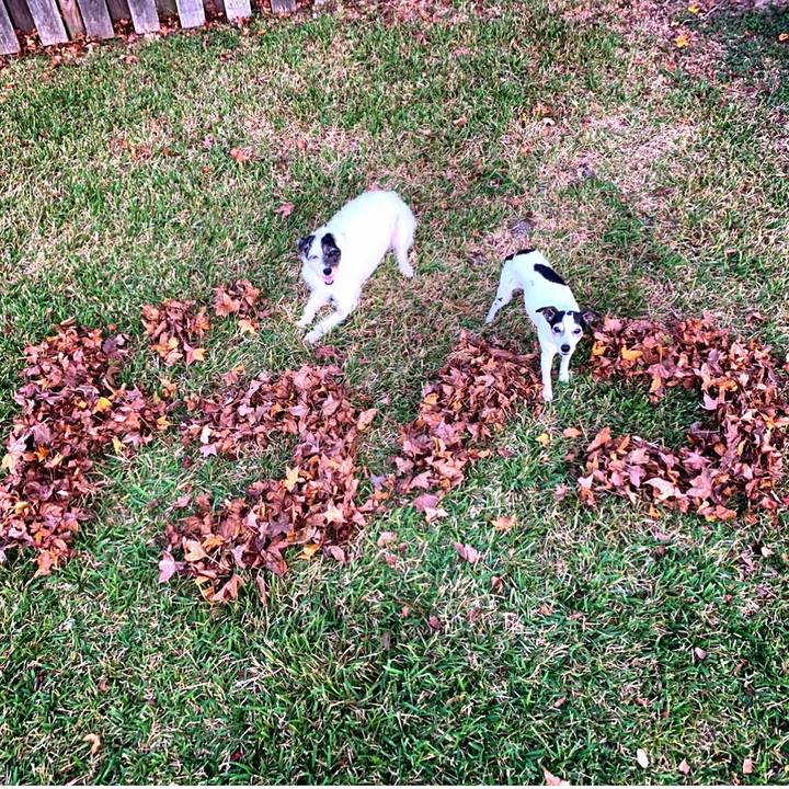 93714447 a9dc 427b bc96 06f1873a8383 1605395681284