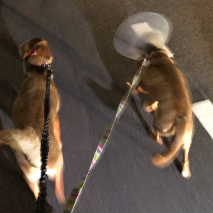 937164ee a540 4fe2 a859 62b5ee59eb4a 1556534909622