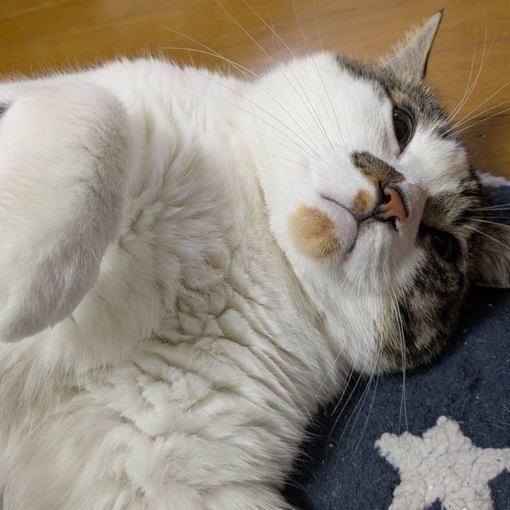 93717911 3de6 450c a2ae 7816df76b4b5 1774992178830