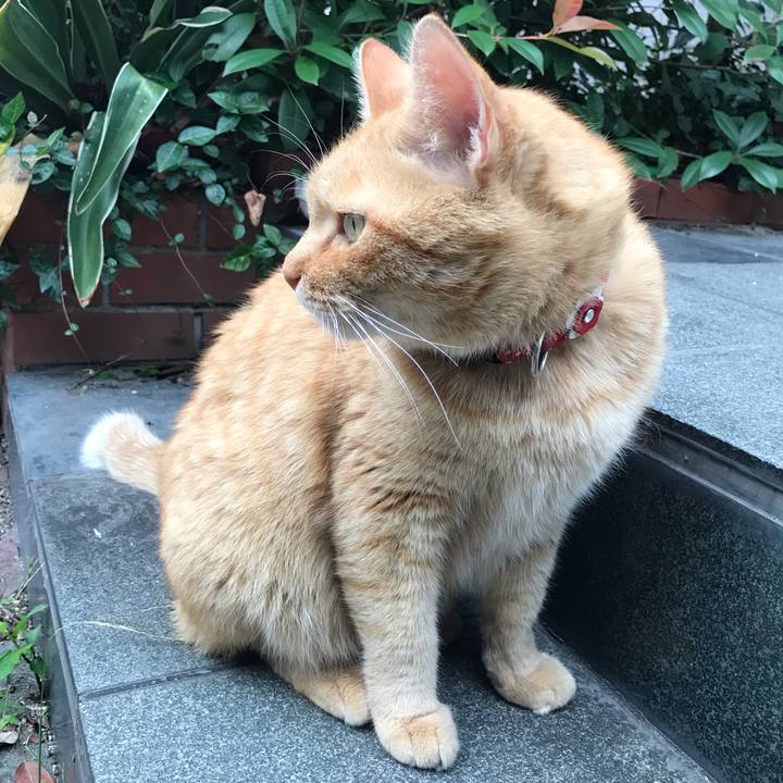 9371816d e8e5 4a7d b58e 4bc6d30481e4 1538119430394