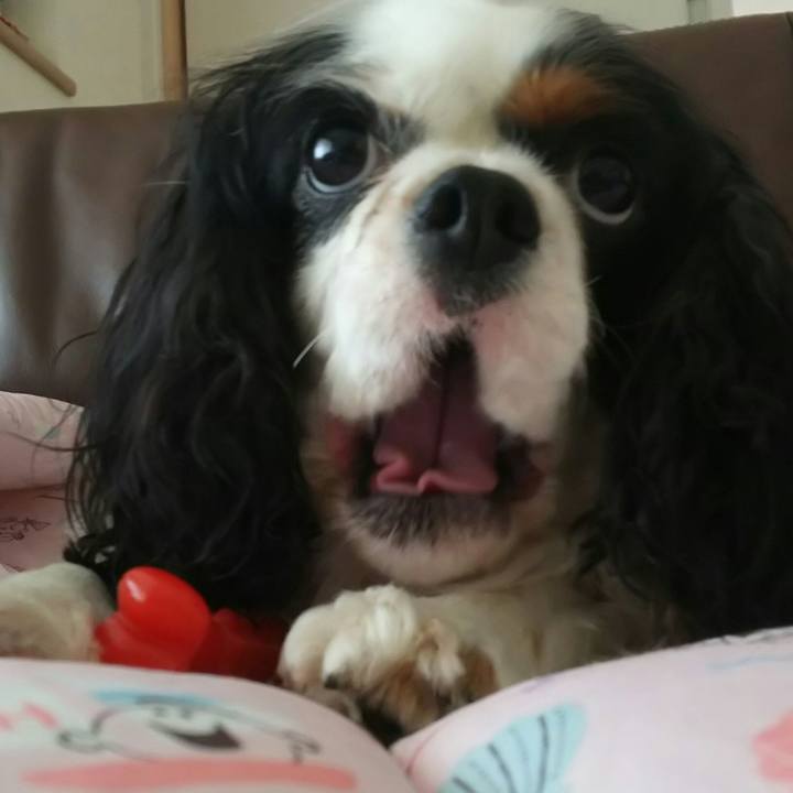 9371844e df20 470c 8685 23aefa4de4d7 1529640355625