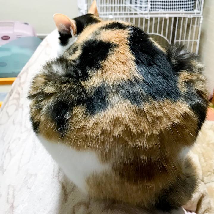 9371a215 dc4f 4b02 9398 e32a65fda6f4 1522026981418