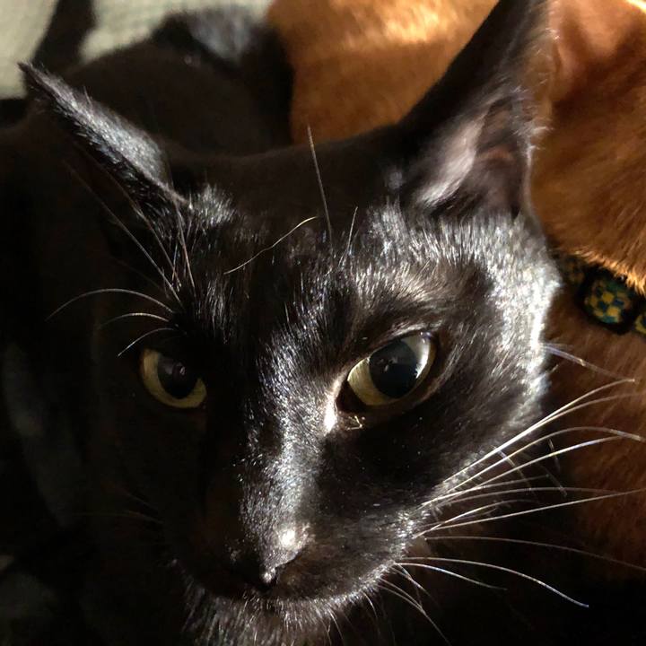 9371c162 a9e7 4d0a bc01 44c8c592767c 1724240645170