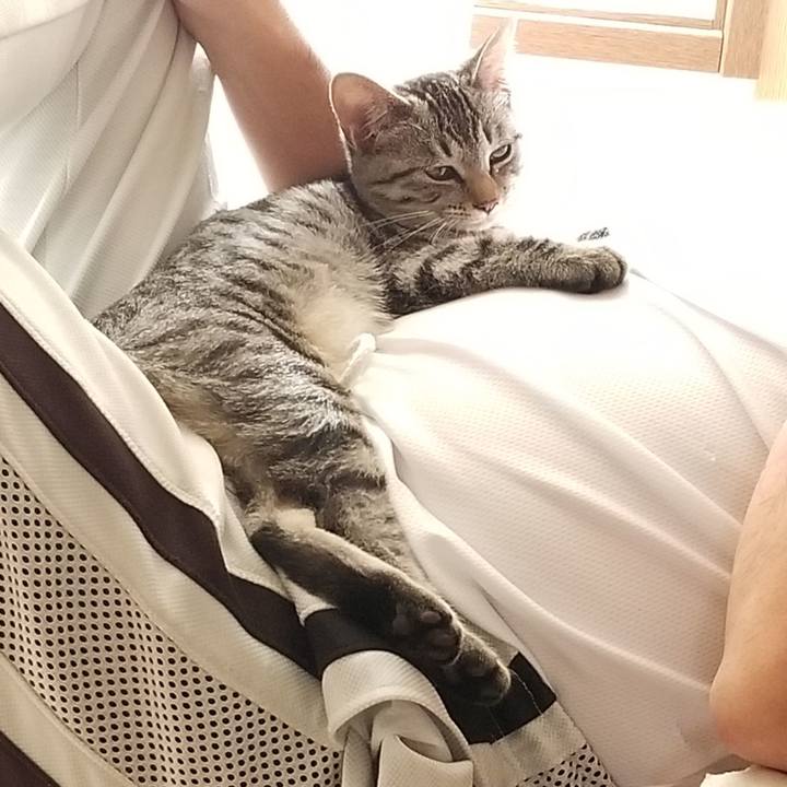 9371e6ed 6dec 4a06 bbbb 27f854931fcb 1668602231012