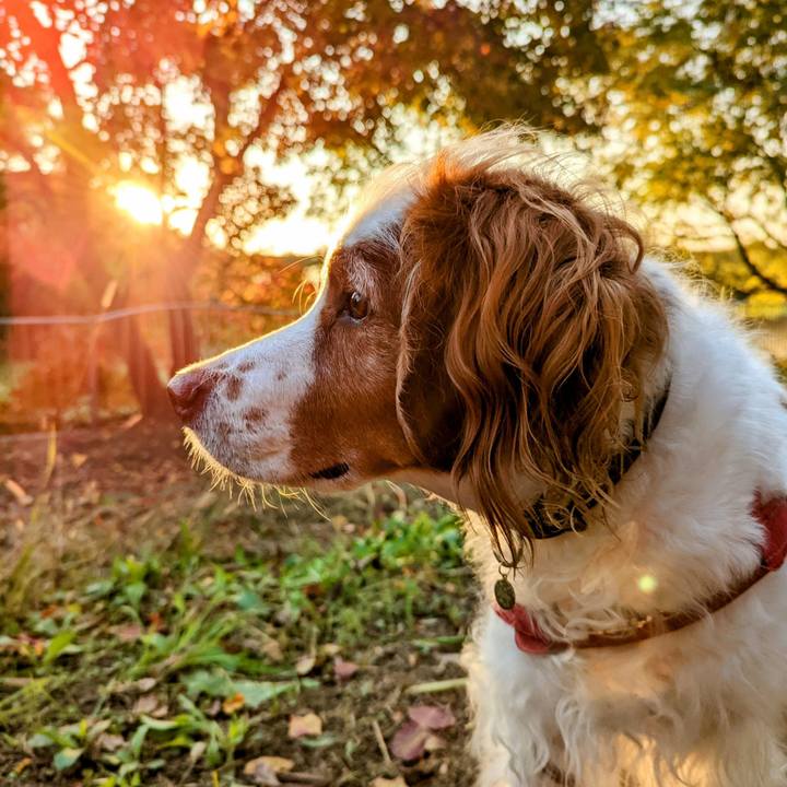 9371fe57 a8fc 4d8d 9155 d09714e0ba9d 1668685719541