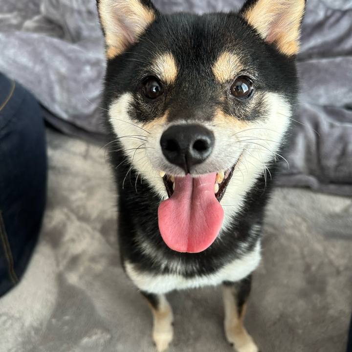 9372017c a730 433f 86c5 f52ad12ec5de 1686309139558