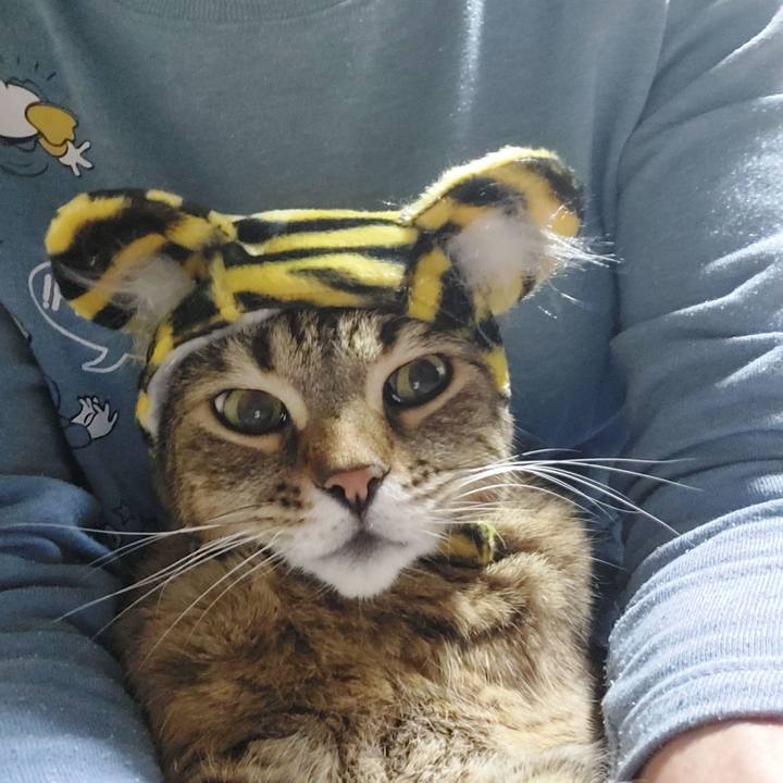 93720835 91ff 4630 b828 ee53a7f2a670 1639481166997