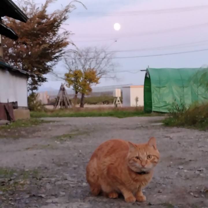 937254ab 2612 40f9 9e88 c9045ff65d86 1667810174377