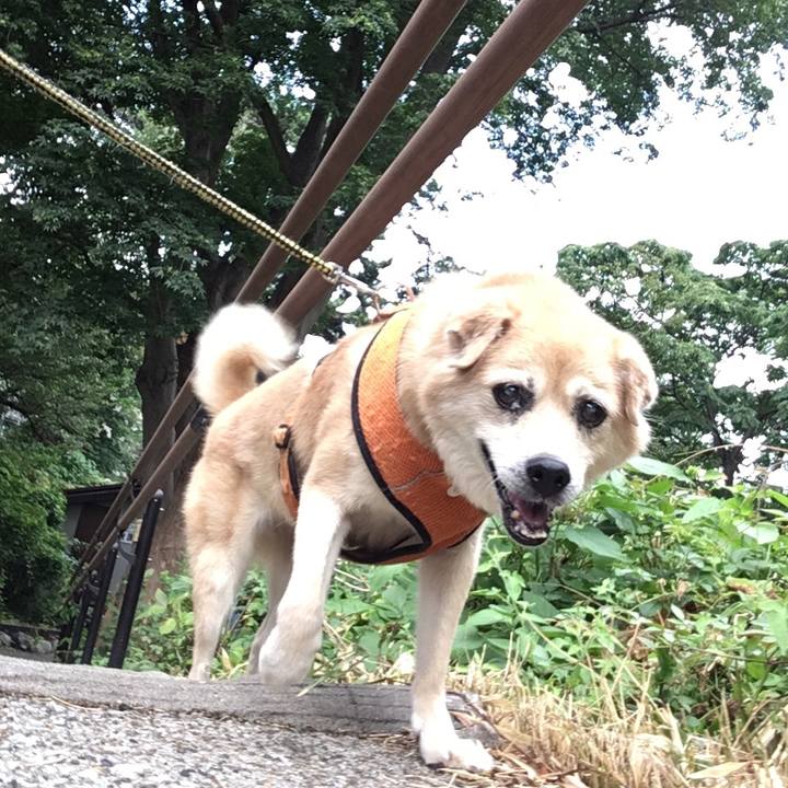 93726aa6 73a0 4fee a5be d842bbbc79f8 1568933307479