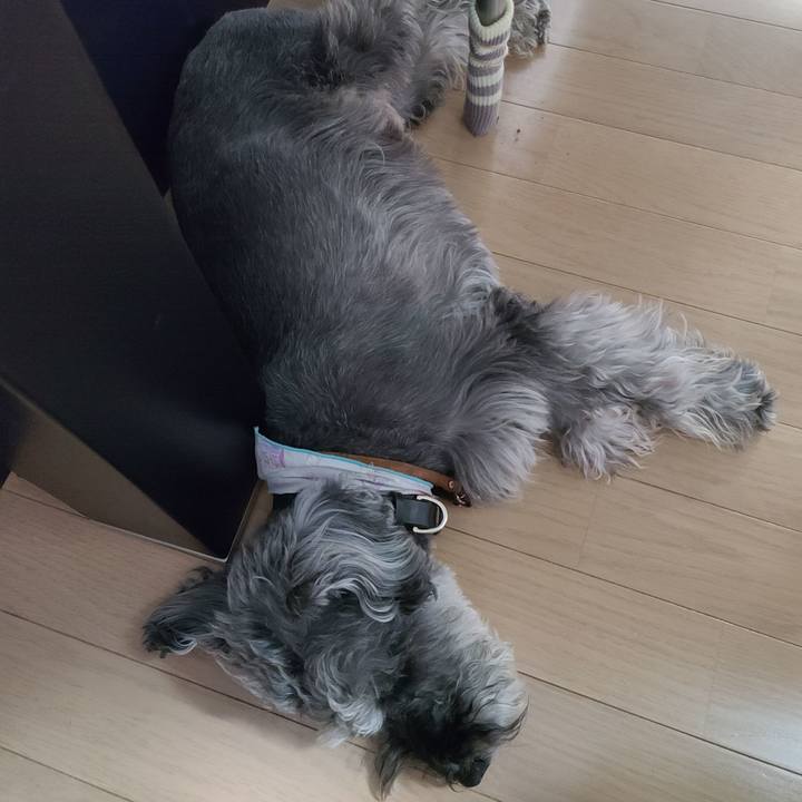 93726eff 78b5 4c33 bd07 e256282a92af 1624272879896
