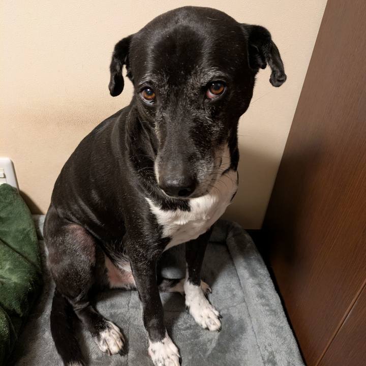 9372aea3 3b5c 47c3 9ead 9efdf395a498 1766833086952