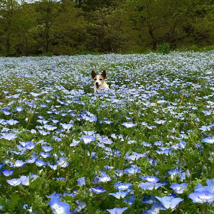 9372c165 dba1 4d1f b955 2f8e264c397d 1651969022341