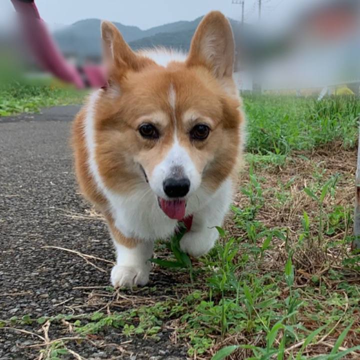 9372ea36 57ac 4f15 ad27 b64ec5d0f0f6 1695266046423